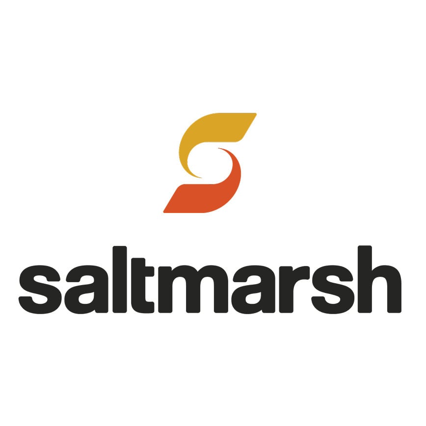logo_SALT